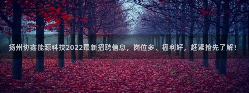 申博手机版官网