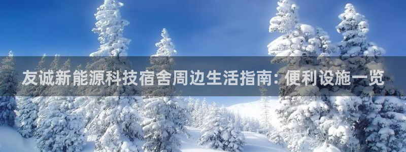 申博官网电脑版下载