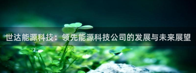 sunbet官网手机版登录