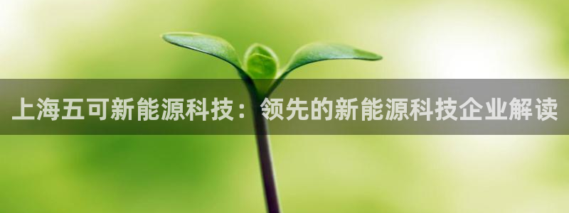 sunbet官网手机版