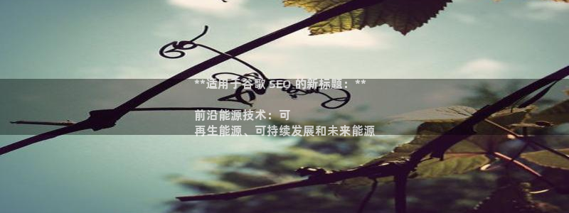 sunbet源码