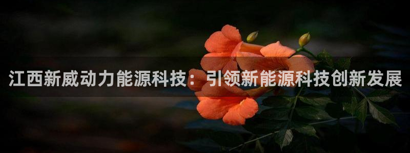 sunbet官网手机版登录