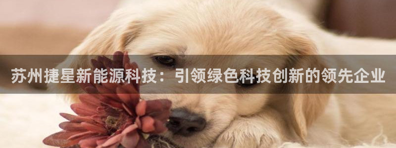 申博官网手机客户端