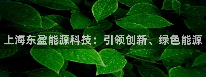 申博官网手机版下载app