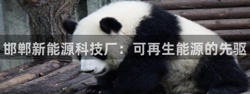 sunbet手机版官网下载