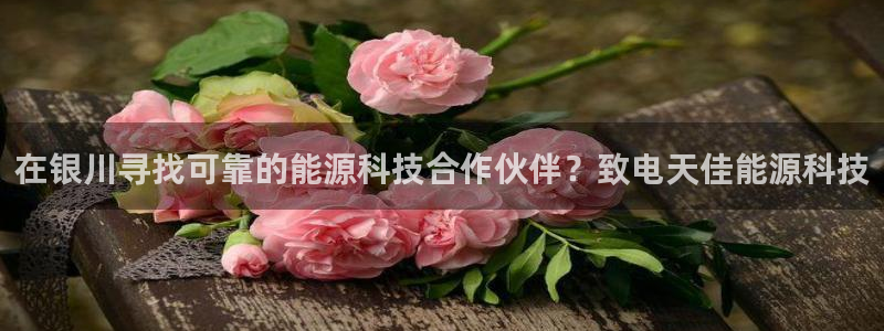sunbet最新登陆