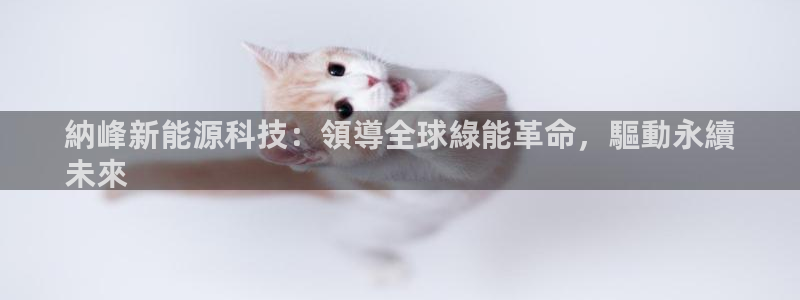 sunbet中文