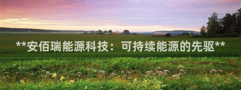 sunbet英语翻译