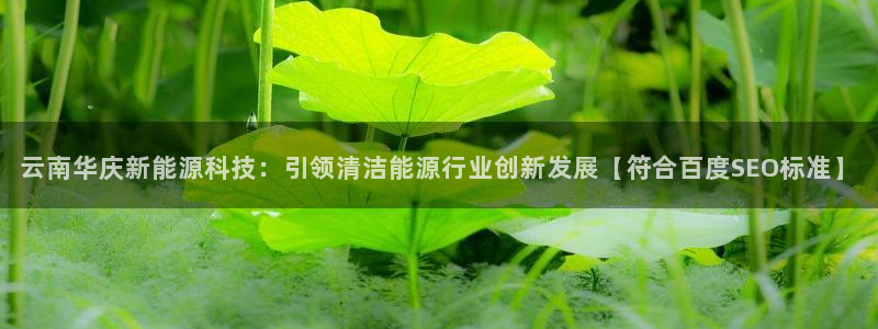 sunbet手机网页版