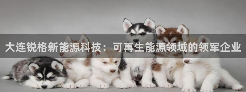 sunbet官网手机版