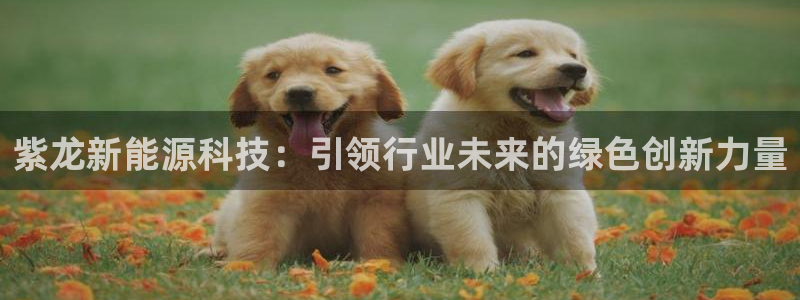 sunbet源码
