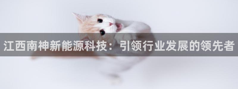 sunbet最新消息
