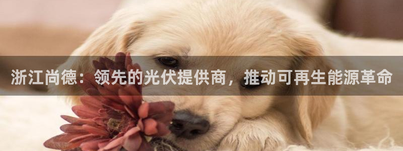 sunbet官网登录首页