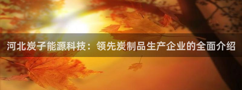sunbet手机网页版本