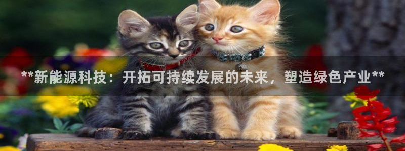 sunbet手机app版